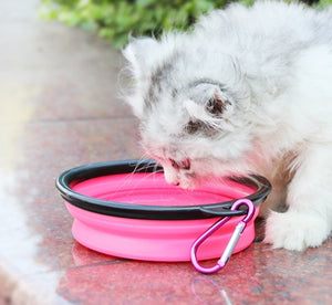 2 In 1Pet Water Bottle Dispenser