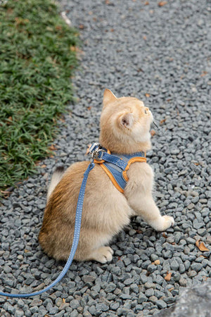 Reflective Cat Chest Harness