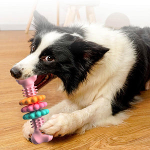 Durable Pet Chew Bone Toy