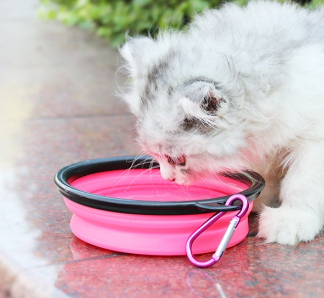 2 In 1Pet Water Bottle Dispenser