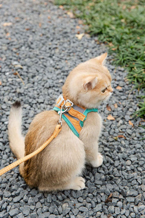 Reflective Cat Chest Harness