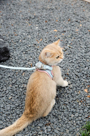 Reflective Cat Chest Harness