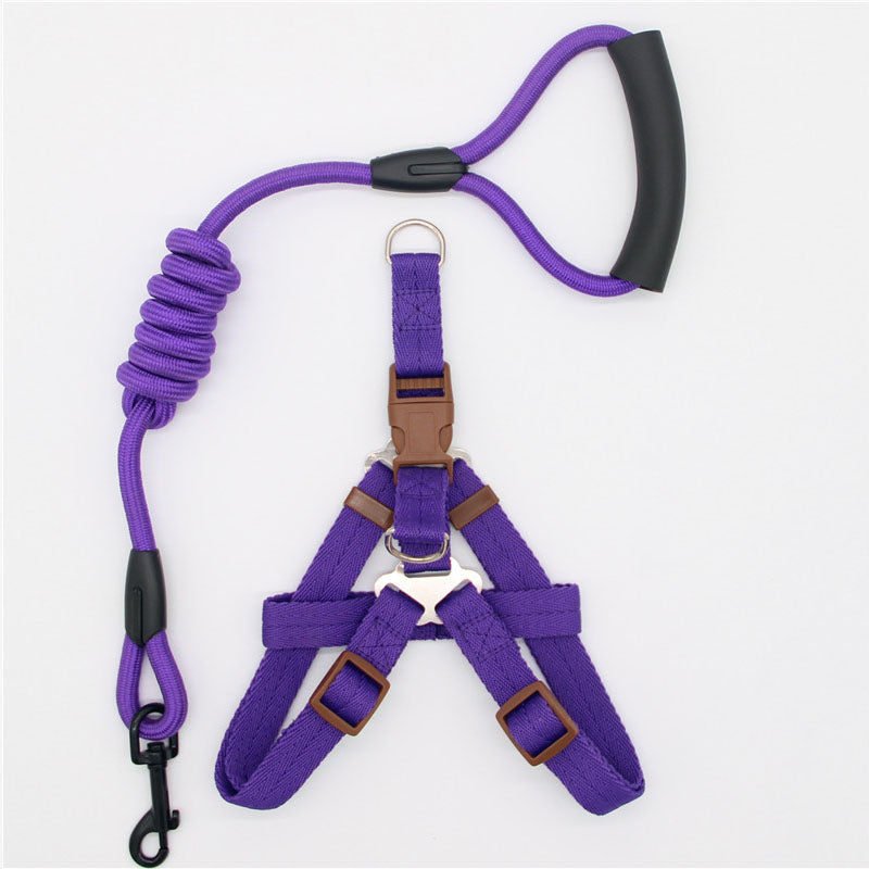 DOG COLLARS,HARNESSES & LEASHES
