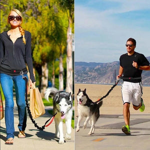 JogFit Pet Harness