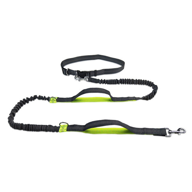 JogFit Pet Harness