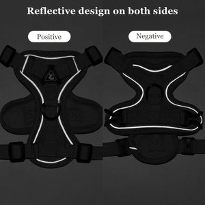 Summer Cat Chest Harness And Leash