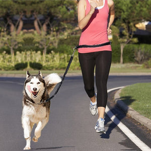 JogFit Pet Harness