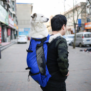 Dog Travel Backpack