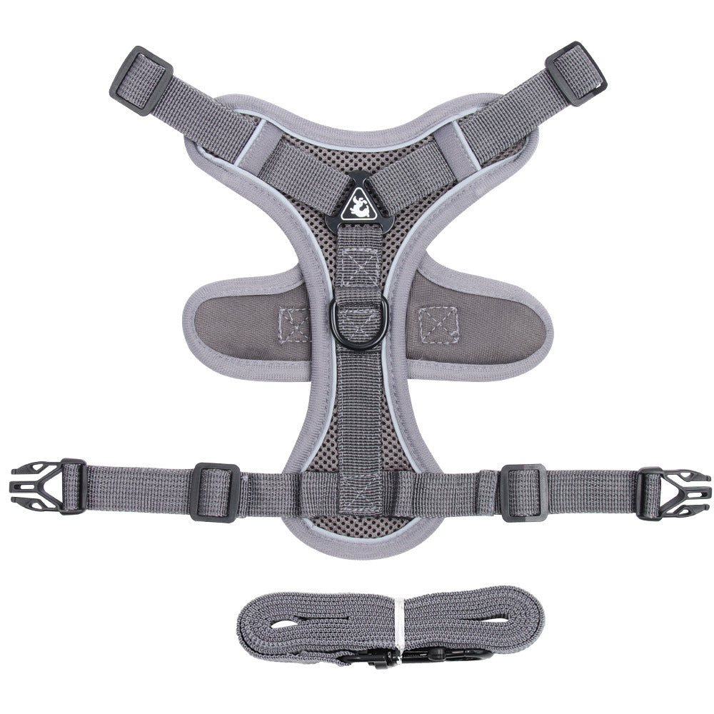 Summer Cat Chest Harness And Leash