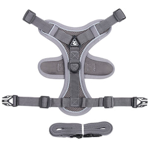 Summer Cat Chest Harness And Leash