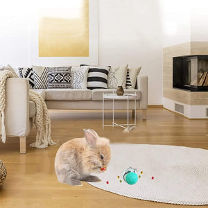 Treat Dispensing Dog Toys
