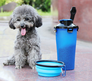 2 In 1Pet Water Bottle Dispenser