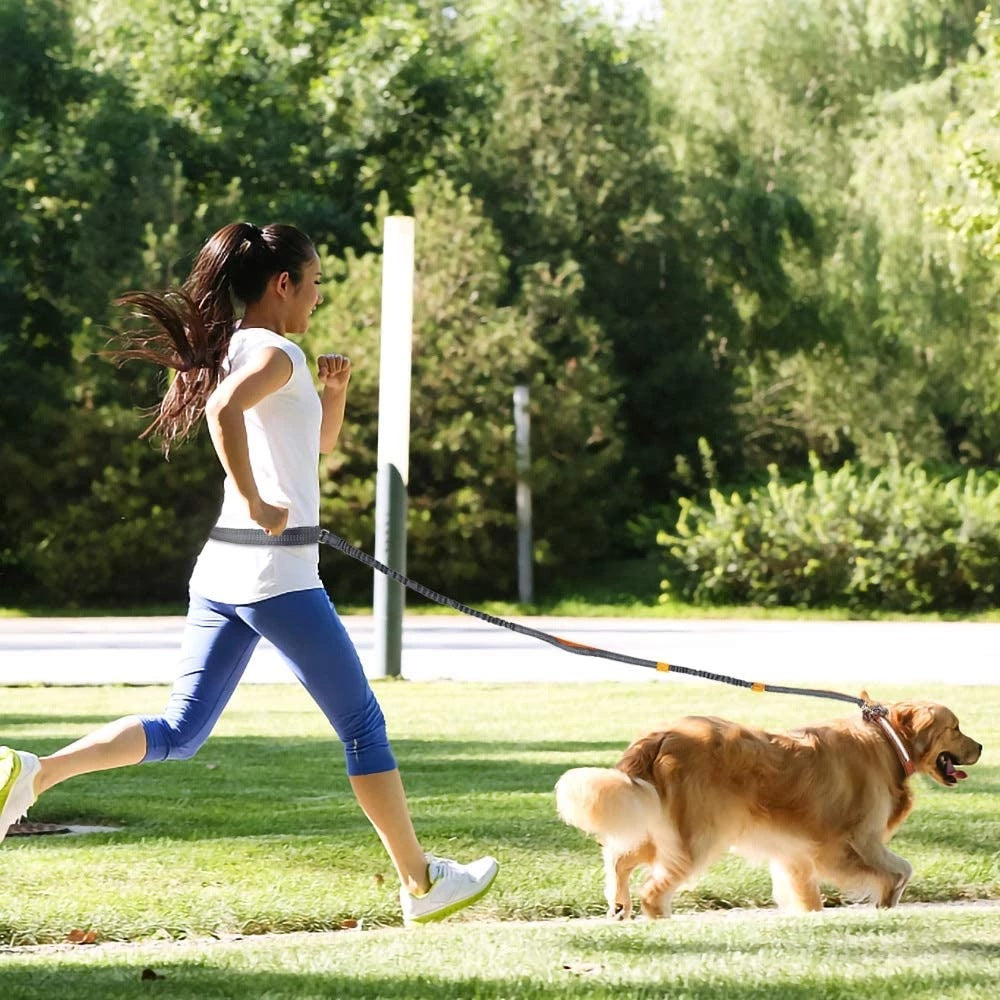 JogFit Pet Harness