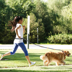 JogFit Pet Harness
