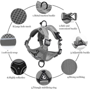 Summer Cat Chest Harness And Leash