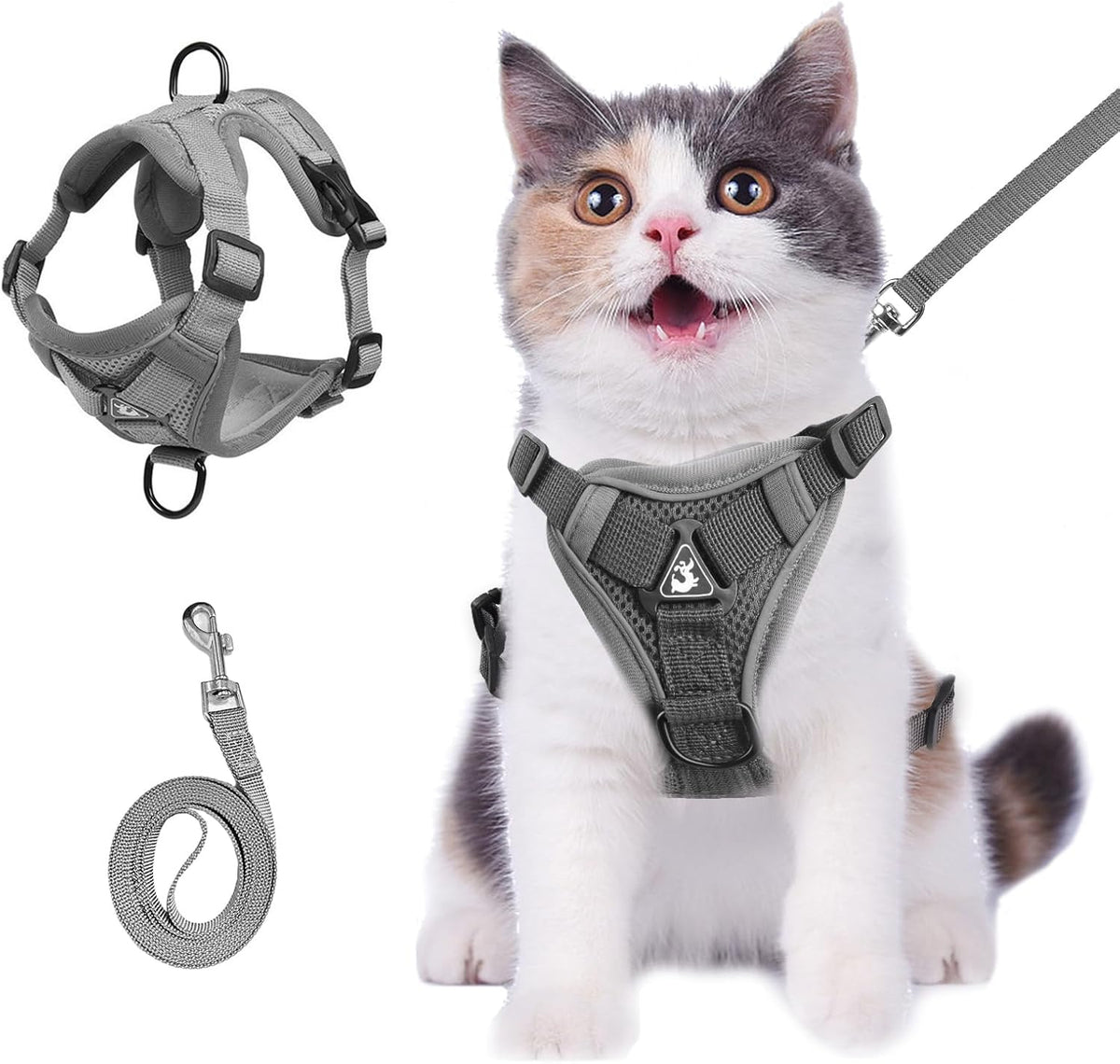 Summer Cat Chest Harness And Leash