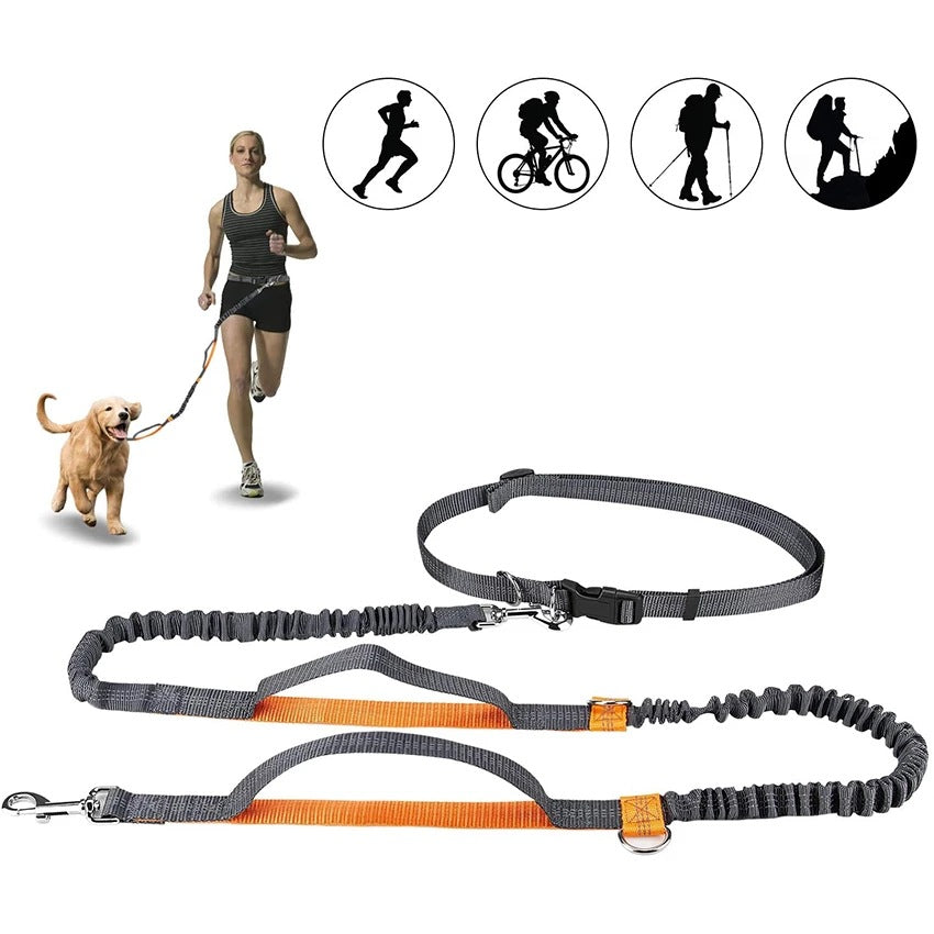 JogFit Pet Harness