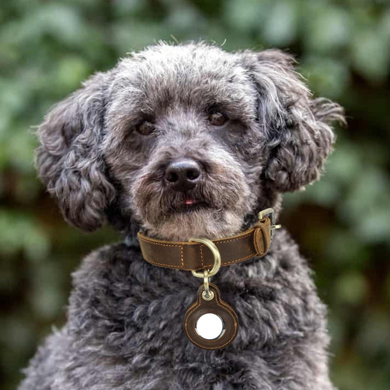 Retro Double-sided Cowhide Dog Collar