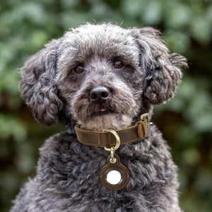 Retro Double-sided Cowhide Dog Collar